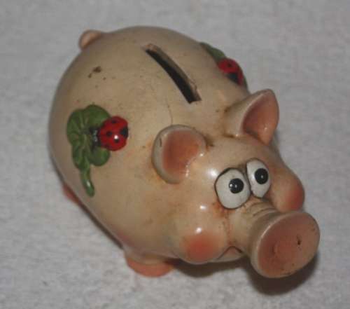 CUTE PIG PIGGY BANK WITH LADY BUG DETAIL