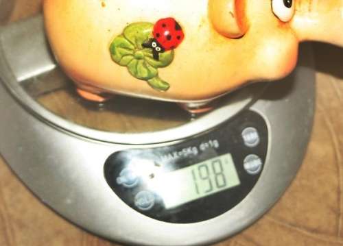CUTE PIG PIGGY BANK WITH LADY BUG DETAIL