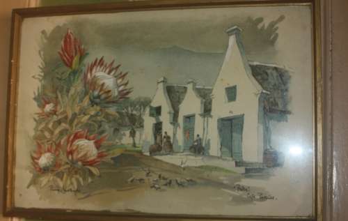 ORIGINAL WATERCOLOUR  PROTEA CAPE PROVINCE BY PHILIP BAWCOMBE 1906-2000