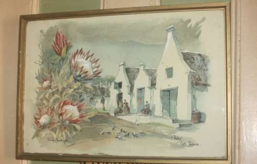 ORIGINAL WATERCOLOUR  PROTEA CAPE PROVINCE BY PHILIP BAWCOMBE 1906-2000