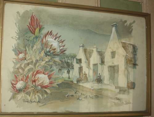 ORIGINAL WATERCOLOUR  PROTEA CAPE PROVINCE BY PHILIP BAWCOMBE 1906-2000