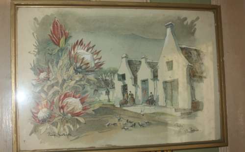 ORIGINAL WATERCOLOUR  PROTEA CAPE PROVINCE BY PHILIP BAWCOMBE 1906-2000
