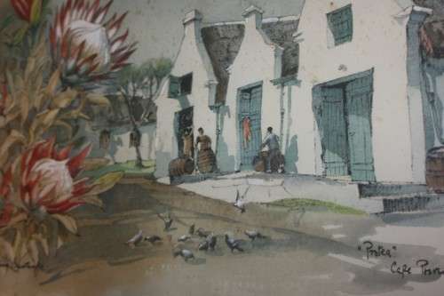 ORIGINAL WATERCOLOUR  PROTEA CAPE PROVINCE BY PHILIP BAWCOMBE 1906-2000