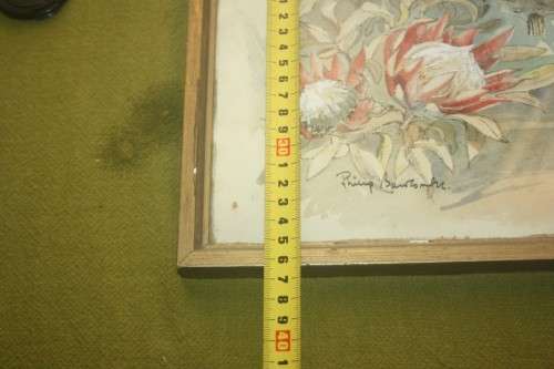 ORIGINAL WATERCOLOUR  PROTEA CAPE PROVINCE BY PHILIP BAWCOMBE 1906-2000