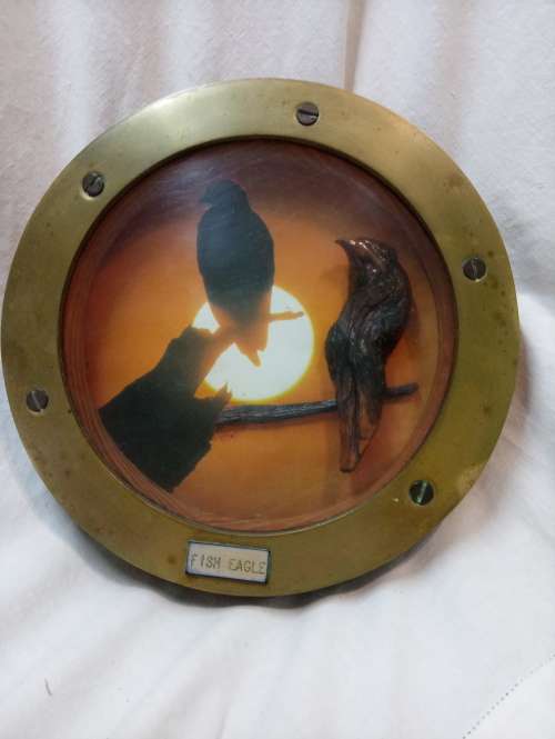 Port hole fish eagle three dimensional art