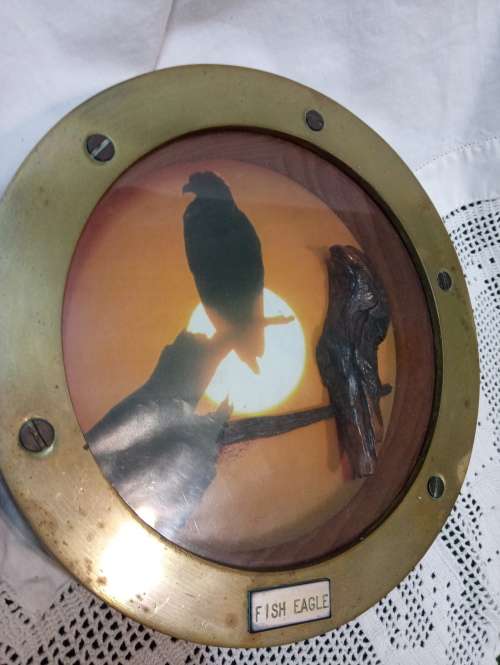 Port hole fish eagle three dimensional art