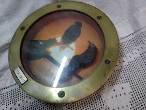 Port hole fish eagle three dimensional art