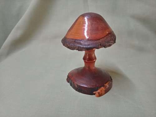 Mike Lewis hand carved deodar cedarwood mushroom 6/98 Newzealand artist