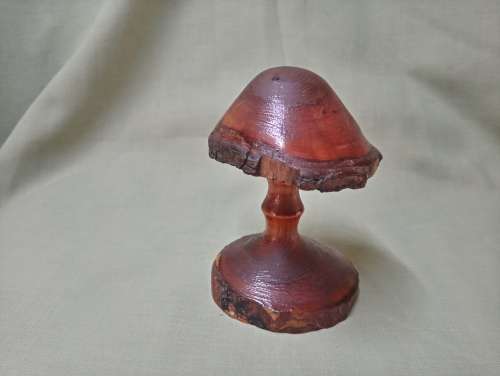 Mike Lewis hand carved deodar cedarwood mushroom 6/98 Newzealand artist