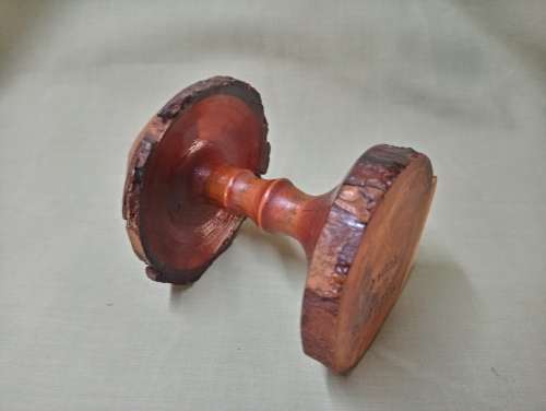 Mike Lewis hand carved deodar cedarwood mushroom 6/98 Newzealand artist