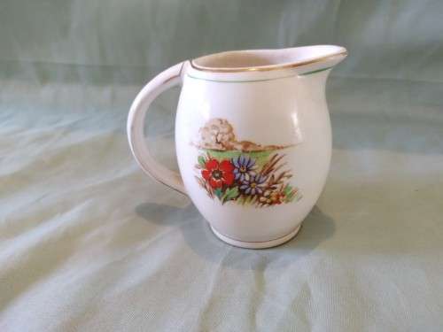 Small milk/creamer jug made in England. Vintage. Botanical details pretty thing