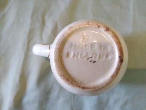 Small milk/creamer jug made in England. Vintage. Botanical details pretty thing