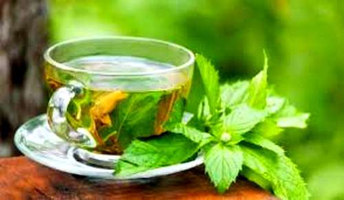 # Buy3 Get1 FREE SPACIAL!!! Green tea extract,90%EGCG 1000mg 30caps.Anti-Aging.Wellness