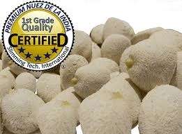 #1 SPECIAL!!!! Nuez de la India or Magic nut,lose weight naturally!! 1 pack= 12 nuts. 2 month supply