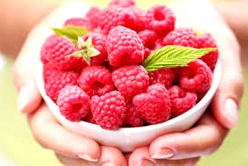 100% Organic.Raspberry ketone extract. Metabolism booster, slimming,weight loss.1000 mg 30 caps.