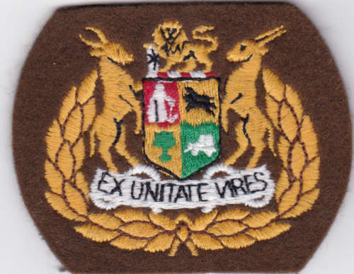 SADF - BROWN SEARGEANT MAJOR RANK BADGE