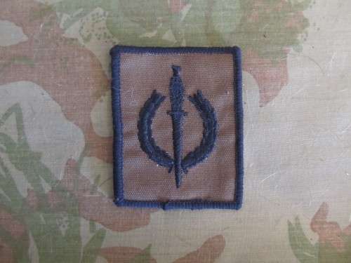 Recce/SF operators Badge (Copy)