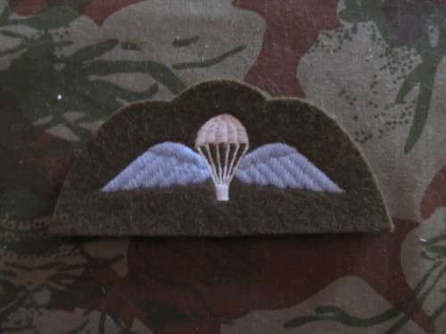 UK Para wings # 1