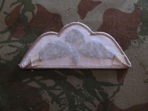 UK Para wing # 2