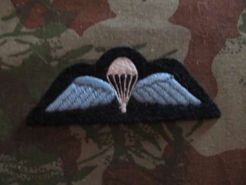 UK Para wing # 6