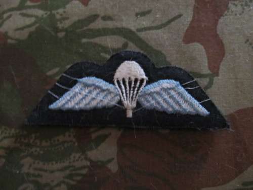 UK Para wing # 6