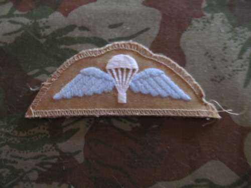 UK Para wing # 8