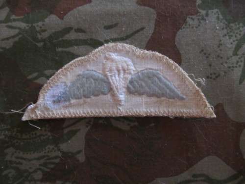 UK Para wing # 8