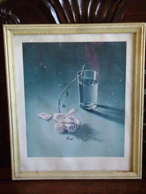 TRECHIKOFF PRINT - "WEEPING ROSE" - FRAMED BEHIND GLASS