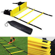 Training Ladder
