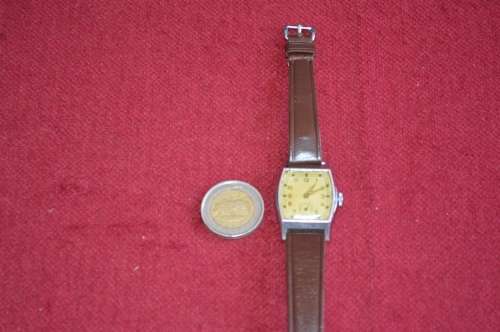 Delfin E Dox 1960's Swiss watch
