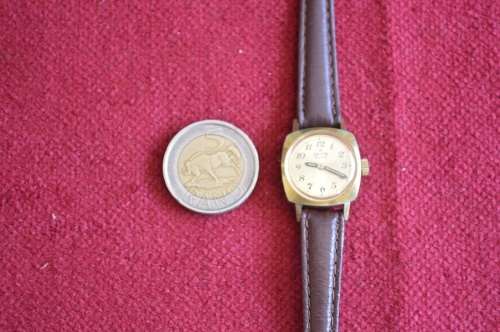 Delfin E Dox 1960's Swiss watch