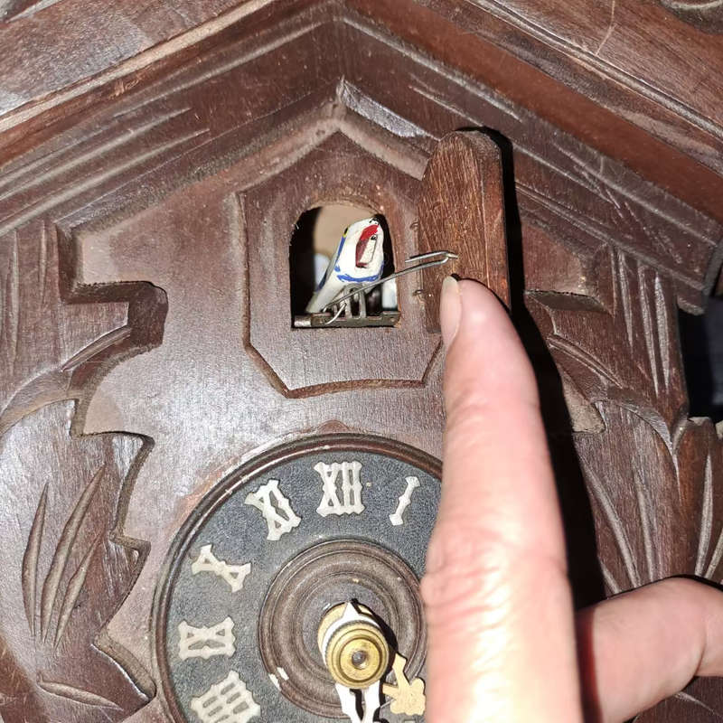 Made in Germany - Div.Pat.u.G.M.angem Cuckoo clock working