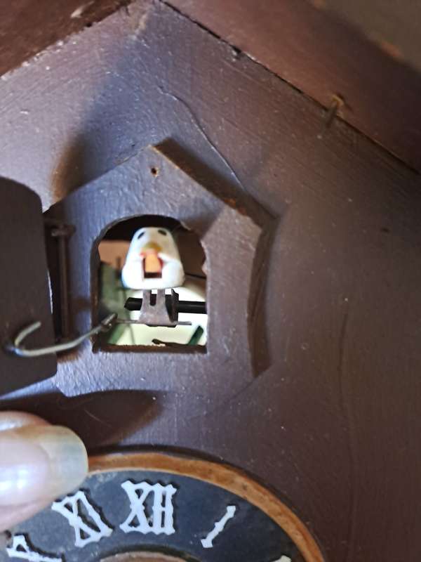 Regula 25 cuckoo clock