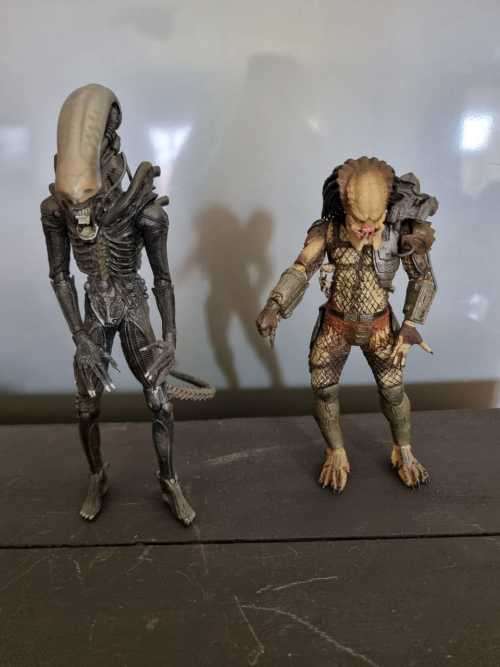 Alien vs Predator figurines