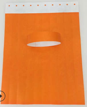 100 Tyvek Wristband