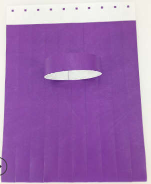 100 Tyvek Wristband