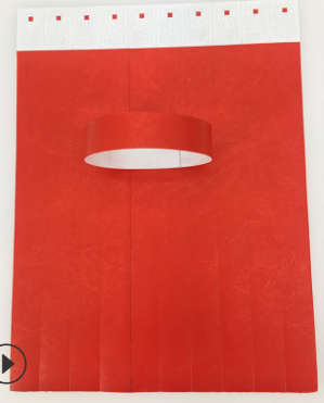 100 Tyvek Wristband
