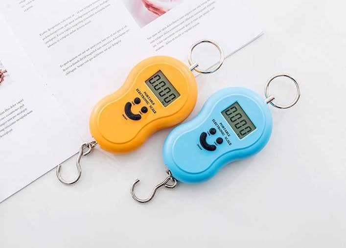 PORTABLE ELECTRONIC SCALE