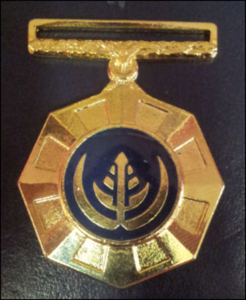 ***PROPATRIA MEDAL WITHOUT RIBBON***