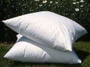 continental pillow