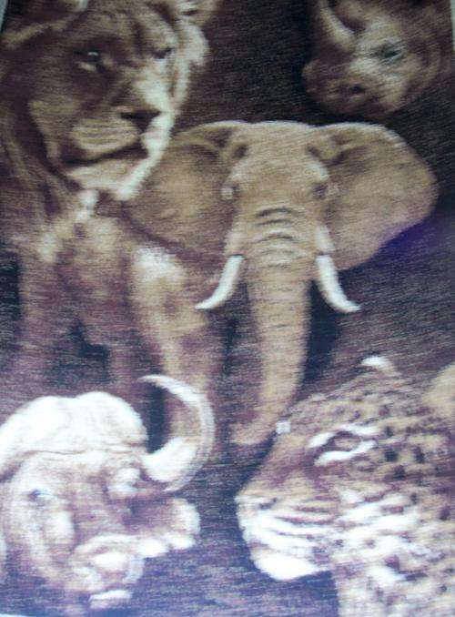 Big Five Carpet (150 x 220)