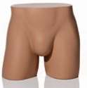 Mens Torso Mannequin