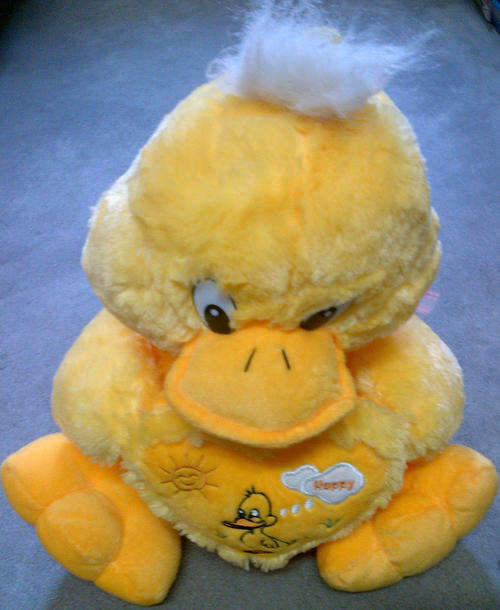 Yellow Teddy Bear - Big