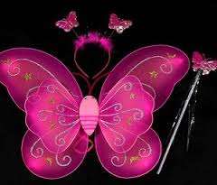 Fairy Wings, Wand and Head Band- Dark pink
