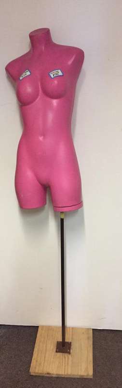 Half Body Female Pink Mannequin ( with stand )