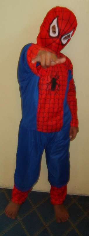 Spiderman Spectacular Costume