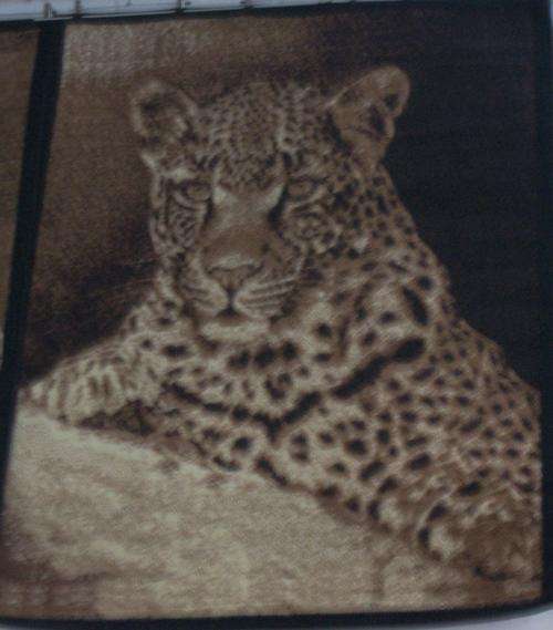 big five carpet(290x200)