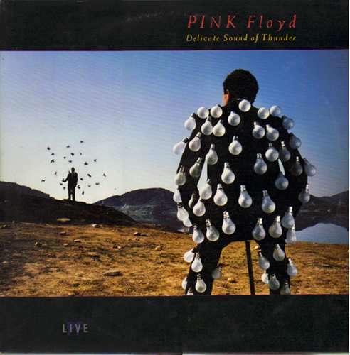 PINK FLOYD - DELICATE SOUND OF THUNDER - PLUS FREE BACKUP CD OF LP - RECORD - VINYL