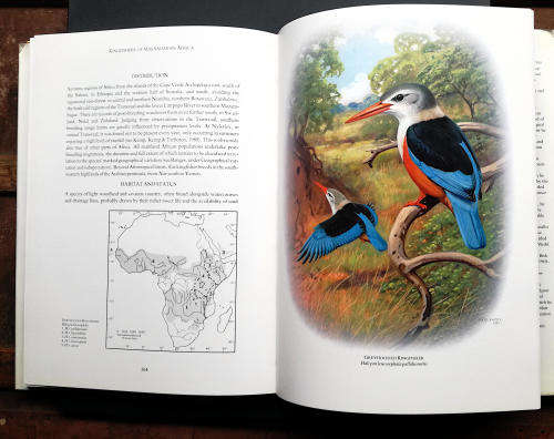 Kingfishers of Sub-Saharan Africa by Phillip Clancey