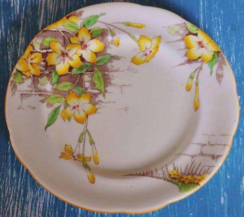 Six Gorgeous Vintage Paragon Cake Plates